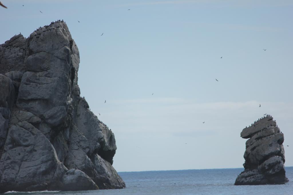Seaside 2*