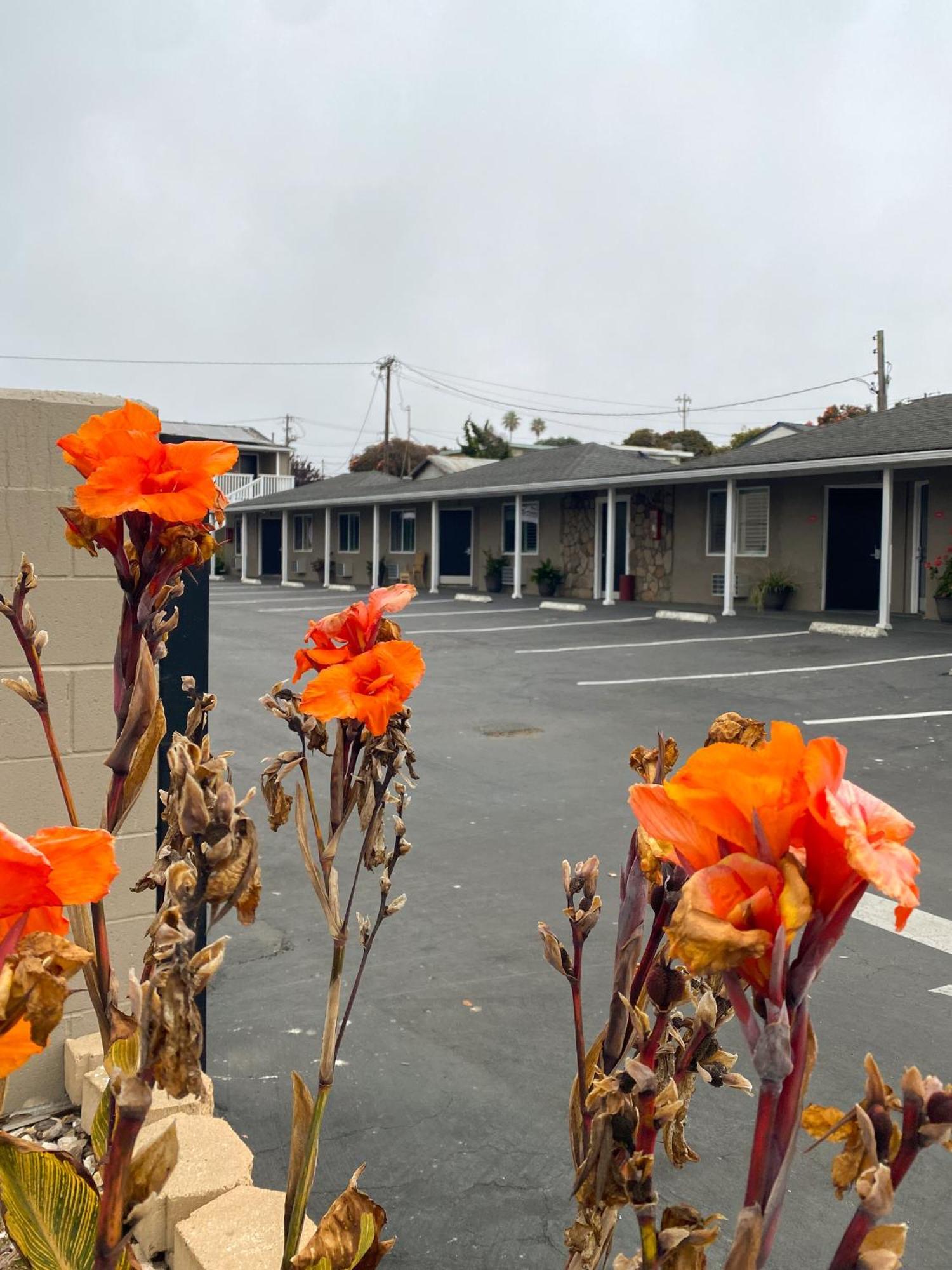 Rockview And Motel 2*